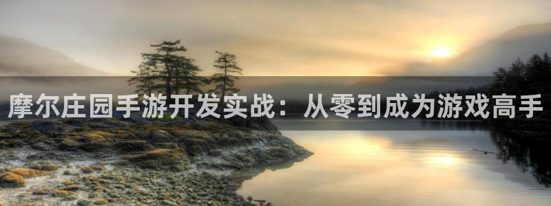 糖果派对免费体验版：摩尔庄园手游开发实战：从零到成为游戏高手