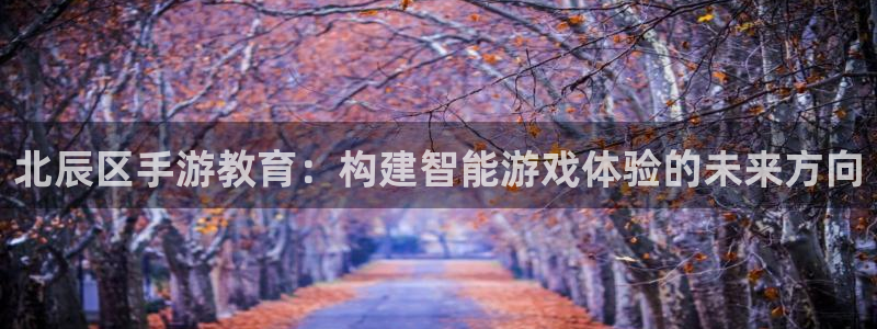 糖果派对时装：北辰区手游教育：构建智能游戏体验的未来方向
