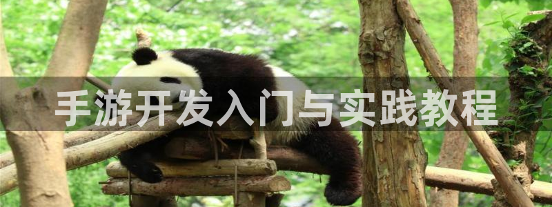 糖果派对网址：手游开发入门与实践教程