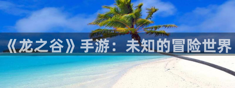 糖果派对游戏平台怎么样：《龙之谷》手游：未知的冒险世界