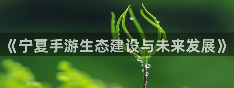 下载糖果派对游戏：《宁夏手游生态建设与未来发展》
