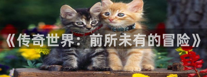 糖果派对游戏手机版：《传奇世界：前所未有的冒险》