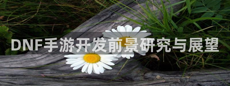 糖果派对版：DNF手游开发前景研究与展望