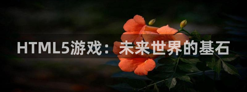 糖果派对是干嘛的：HTML5游戏：未来世界的基石