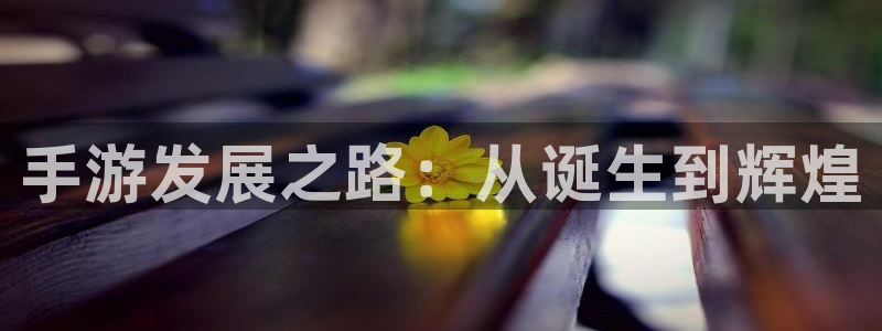 糖果派对爆分网站：手游发展之路：从诞生到辉煌