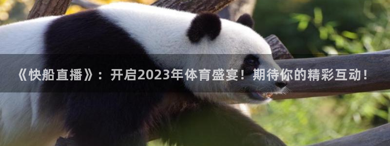 919zb体育直播：《快船直播》：开启2023年体育盛宴！期待你的精彩互动！