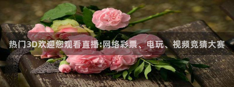 919直播足球：热门3D欢迎您观看直播:网络彩票、电玩、视频竞猜大赛