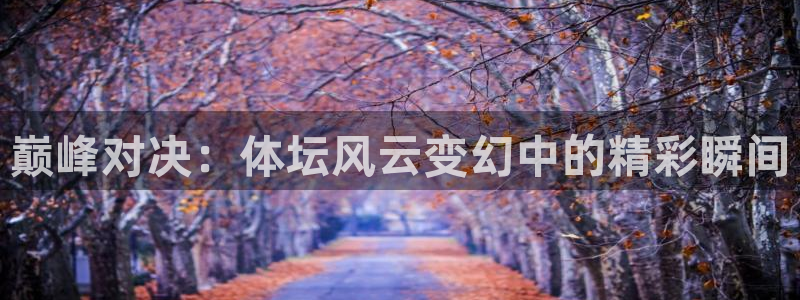 919直播足球版本1.0.7：巅峰对决：体坛风云变幻中的精彩瞬间